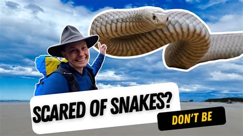 Snake Safety When Hiking In Australia How To Hike Safely With Snakes