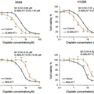 Knockdown Malat Induces Dna Damage And Apoptosis In Lig Ko Cells