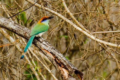 Momoto Images – Browse 60 Stock Photos, Vectors, and Video | Adobe Stock