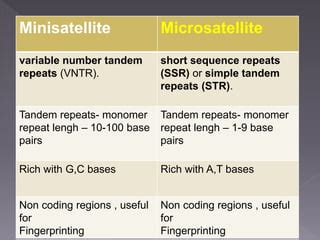 Microsatellite PPT