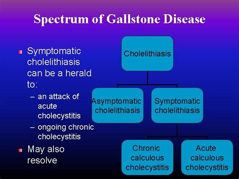 Gall Stone Disease Anatomy Gallstone Pathogenesis Bile Contains