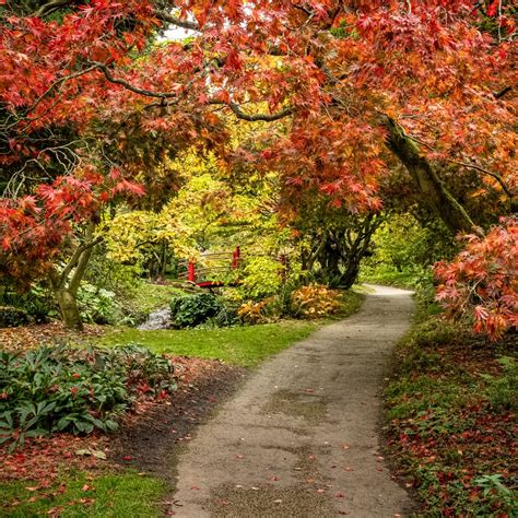 Britains Most Spectacular Autumn Arboretums