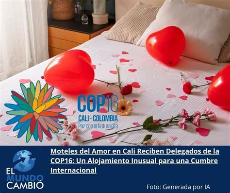 Moteles Del Amor En Cali Reciben Delegados De La Cop Un Alojamiento