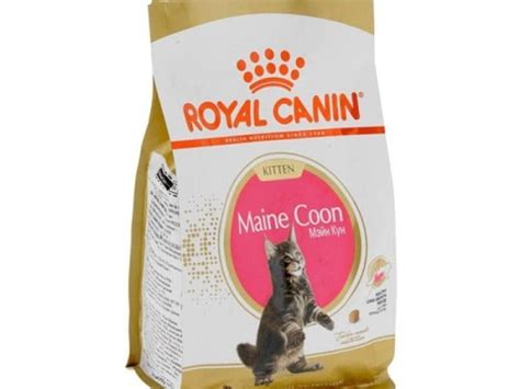 Jual Royal Canin Kitten Maine Coon 36 Makanan Anak Kucing 400 Gr