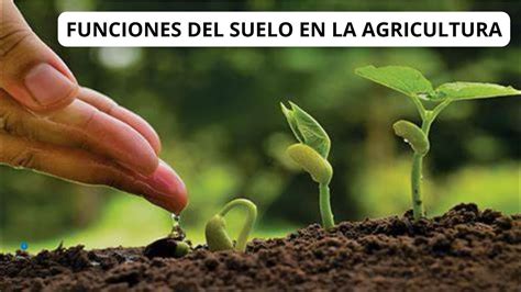 Funciones Del Suelo En La Agricultura Youtube