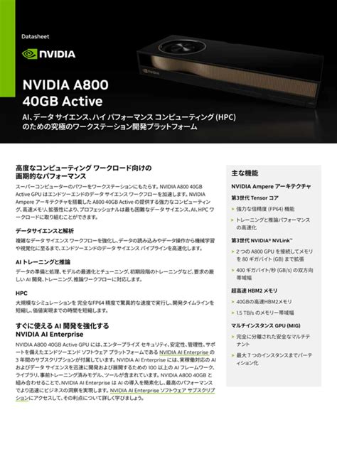 Nvidia A800 40gb Active