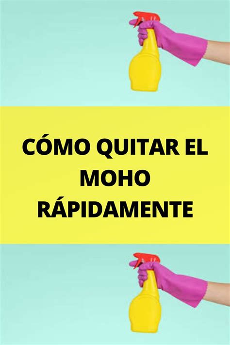 Cómo quitar el moho y los mejores productos para hacerlo de forma