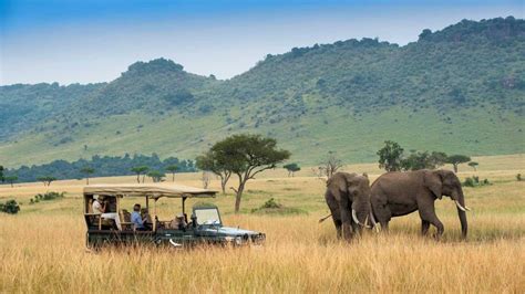 Safari In Campeggio Di 4 Giorni Tarangire Ngorongoro E Serengeti