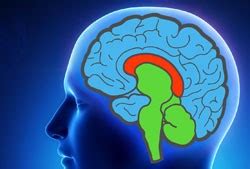 Understanding Your Trading Brain Bramesh S Technical Analysis