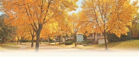 staff directory town  minden nv civicengage