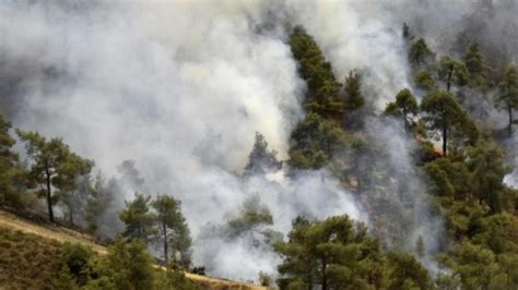 Incendiu Forestier Pe Insula Samos Din Grecia Pompierii Au Intervenit