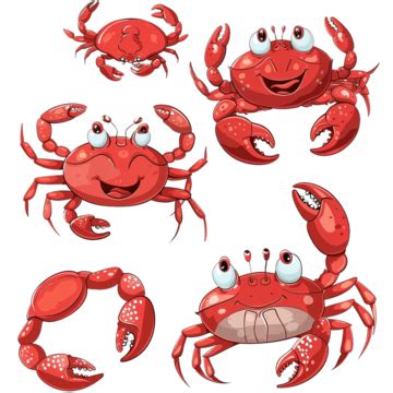 Red Cartoon Crabs Crab Red Crab Red PNG Transparent Image And