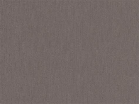 Details 200 Grey Plain Background Abzlocalmx