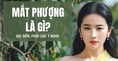 Mắt Phượng Là Mắt Gì Điểm Khác Biệt Và đặc Trưng Nổi Bật