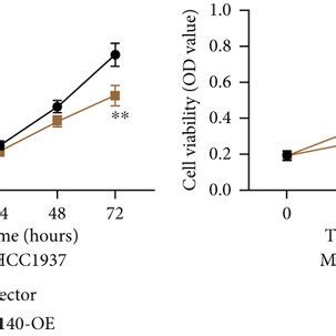 LINC01140 Overexpression Suppressed BC Cell Proliferation And Migration