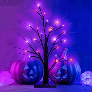 Amazon Halloween Decorations Indoor Pack Ft Lighted Black