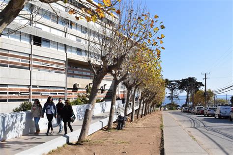 Carreras de Ingeniería tienen mayor empleabilidad en Chile - Noticias ...