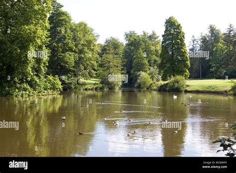 Virginia Water Surrey England Stock Photo - Alamy