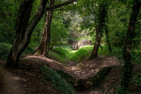 Haluzice Gorge Slovak Film Commission