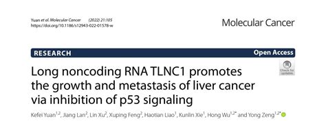 Mol Cancer丨lncrna Tlnc1通过抑制p53信号促进肝癌的生长和转移 企业动态 丁香通