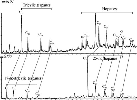 Mass Chromatograms Mz 191 And 177 Of Saturated Hydrocarbons In