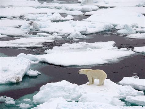 Arctic Sea Ice Shrinks To Smallest Extent Ever Recorded Mother Jones