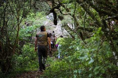 Rio Grande do Sul o Estado maior número de geoparques mundiais