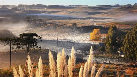 Serra De SC Registra Amanhecer Geada E Temperatura Marca 1 9C