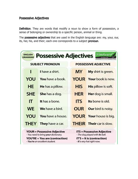 Possessive Adjectives Possessive Adjectives Definition They Are