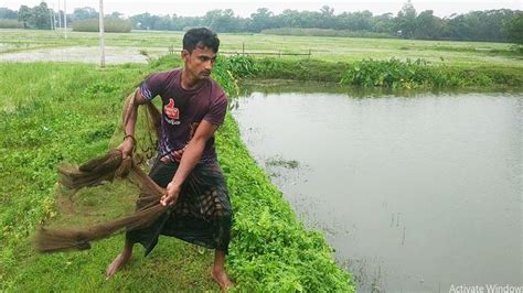 Best Net Fishing Ll Fish Catching Using By Cast Net In The Village