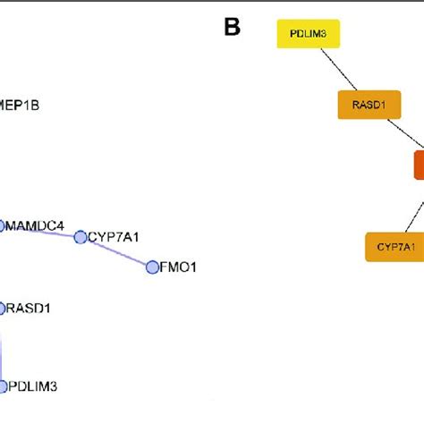 Construction Of Protein Protein Interaction Ppi Networks For 25