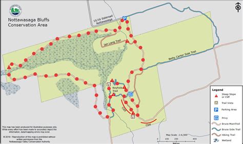 Nottawasaga Bluffs Conservation Area A Natural Wonder And A Day Hike