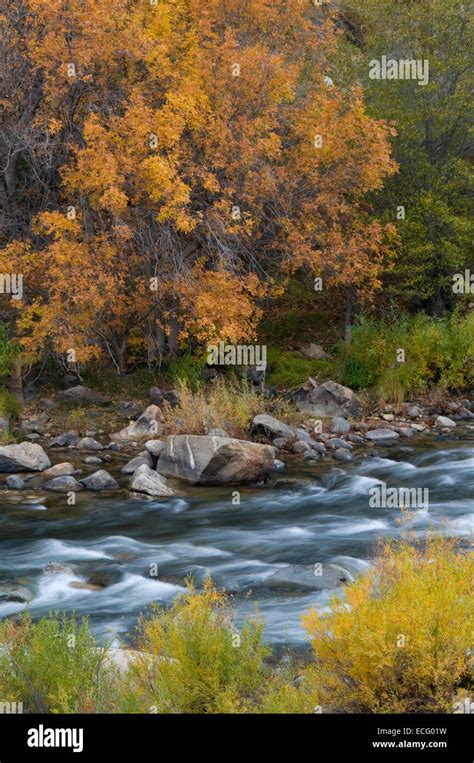 Kern Wild And Scenic River On River Trail Sequoia National Forest