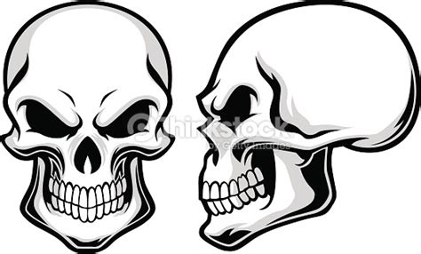 Skull Side View Vector at Vectorified.com | Collection of Skull Side ...