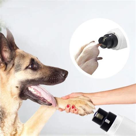 Lime Ongles Lectrique Pour Griffes De Chien Et Chat Aste Par Usb