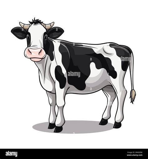 Dibujos De Vaca Para Colorear Vsun