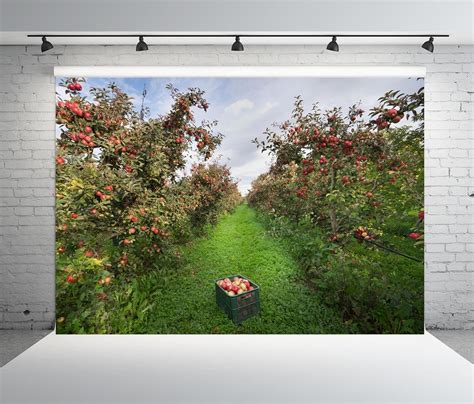 Beleco X Ft Fabric Apple Orchard Backdrop Apple Grove Red Apples Green