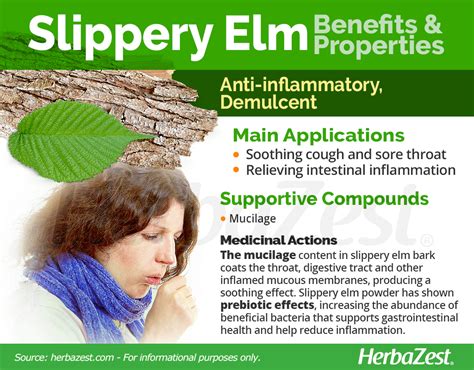 Slippery Elm Herbazest