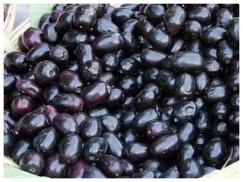 Kala Jamun Fruit