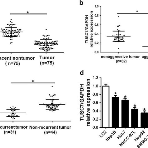 The Expression Levels Of Tusc In Hcc Comparing Differences In The