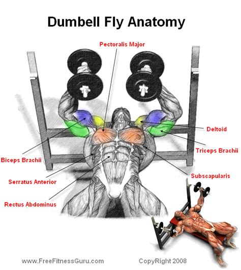 What Muscles Do Pec Deck Flyes Work Machine