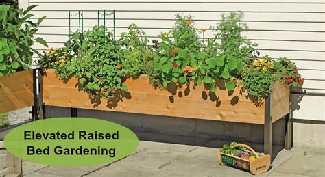 Elevated Raised Bed Gardening The Easiest Way To Grow