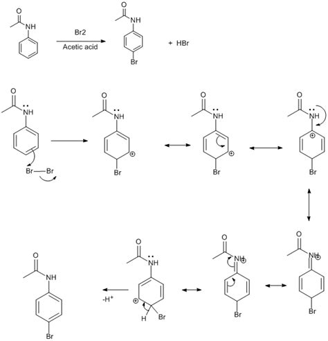 Write A Mechanism For The Bromination Of Acetan Chegg