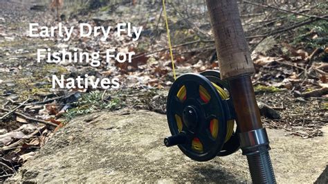 Early Dry Fly Fishing For Native Brook Trout Youtube