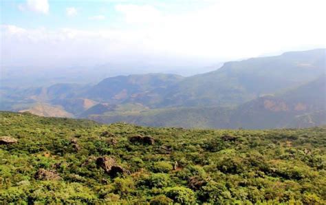 Top 5 Highest Mountains In Somalia Toplist Info