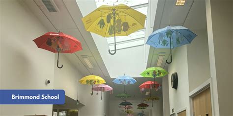 The Neurodiversity Umbrella Project Adhd Foundation Adhd Foundation