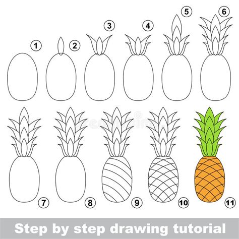 Drawing Tutorial. Ripe Pineapple. Stock Vector - Illustration of ...