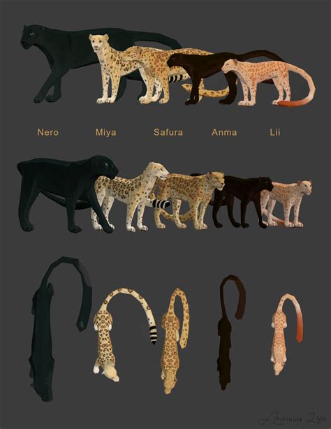 Updated leopard models by Likopinina on DeviantArt