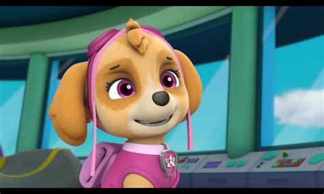 Skye The Cockapoo Paw Patrol Photo 40719562 Fanpop