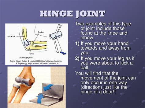 PPT - “MOVING THROUGH EXERCISE SCIENCE” PowerPoint Presentation, free ...